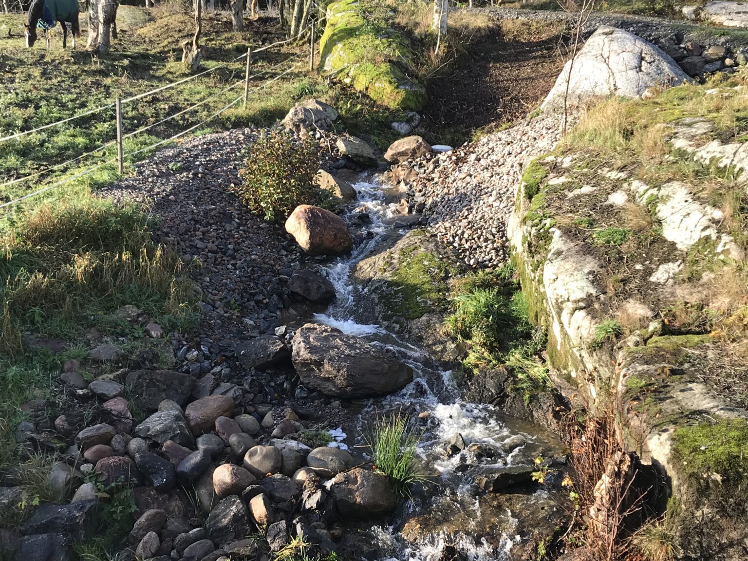 Våra projekt 8+fjordar